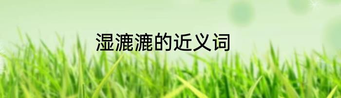 湿漉漉的近义词