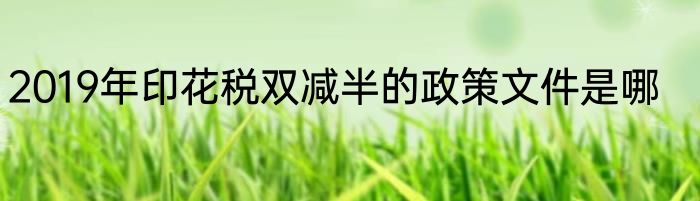 2019年印花税双减半的政策文件是哪