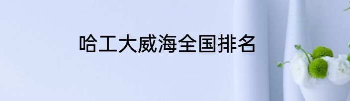 哈工大威海全国排名