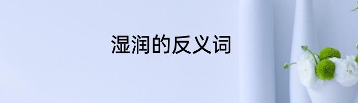 湿润的反义词