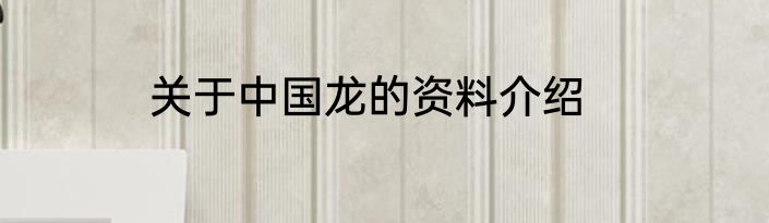 关于中国龙的资料介绍