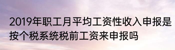 2019年职工月平均工资性收入申报是按个税系统税前工资来申报吗
