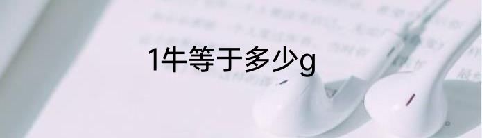 1牛等于多少g