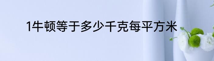1牛顿等于多少千克每平方米