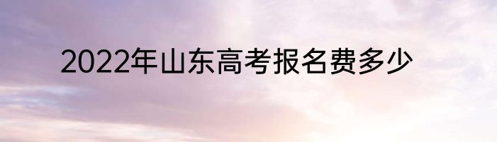 2022年山东高考报名费多少