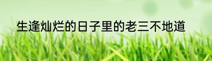 生逢灿烂的日子里的老三不地道