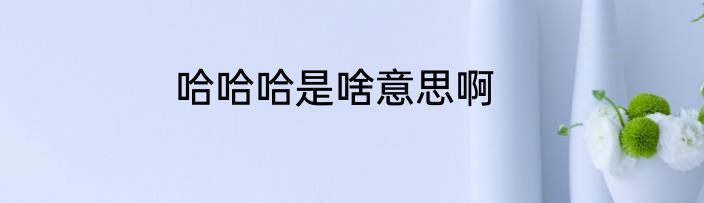 哈哈哈是啥意思啊