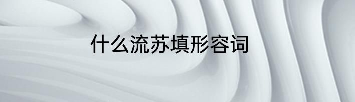 什么流苏填形容词