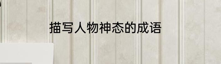 描写人物神态的成语