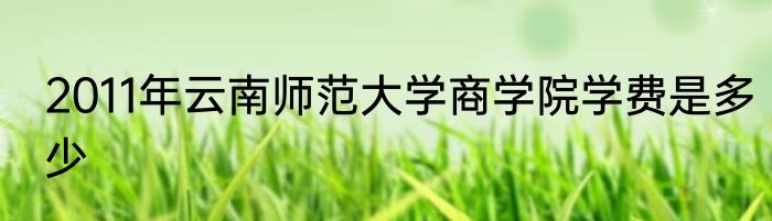 2011年云南师范大学商学院学费是多少
