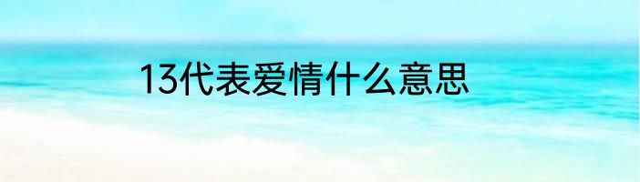 13代表爱情什么意思