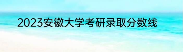 2023安徽大学考研录取分数线