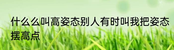 什么么叫高姿态别人有时叫我把姿态摆高点