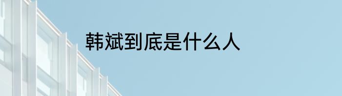 韩斌到底是什么人