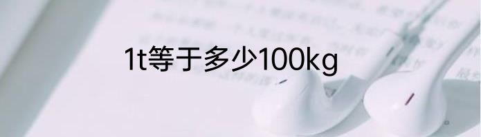 1t等于多少100kg