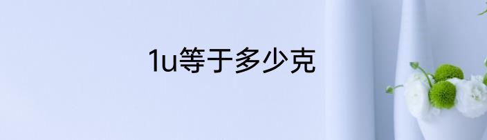 1u等于多少克