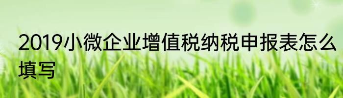 2019小微企业增值税纳税申报表怎么填写