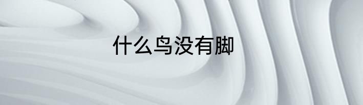 什么鸟没有脚