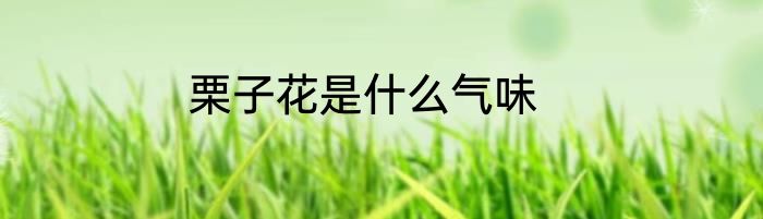 栗子花是什么气味