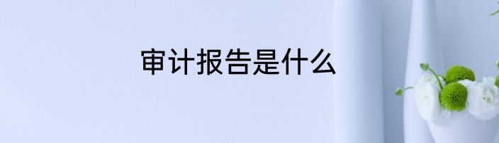 审计报告是什么
