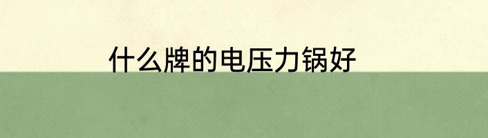 什么牌的电压力锅好