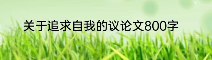 关于追求自我的议论文800字