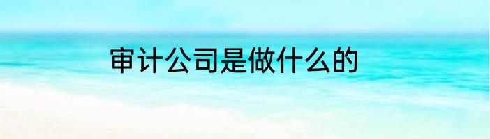审计公司是做什么的