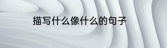 描写什么像什么的句子
