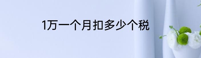 1万一个月扣多少个税