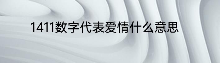 1411数字代表爱情什么意思