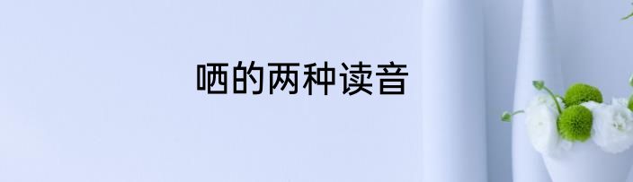 哂的两种读音