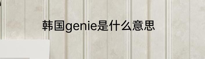 韩国genie是什么意思