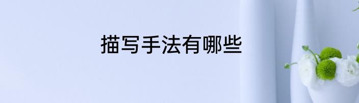 描写手法有哪些