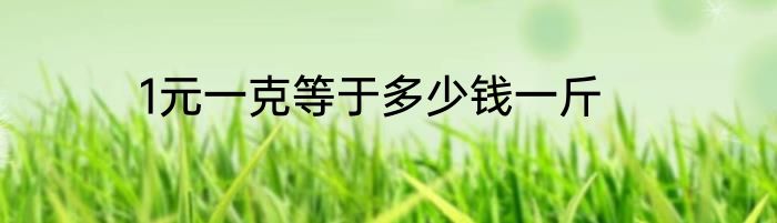 1元一克等于多少钱一斤