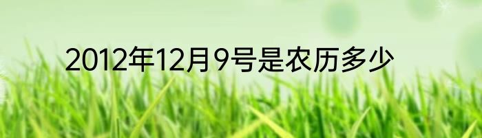 2012年12月9号是农历多少