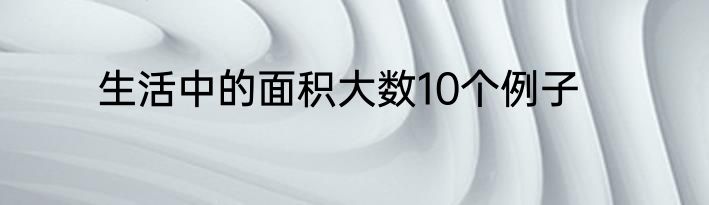生活中的面积大数10个例子