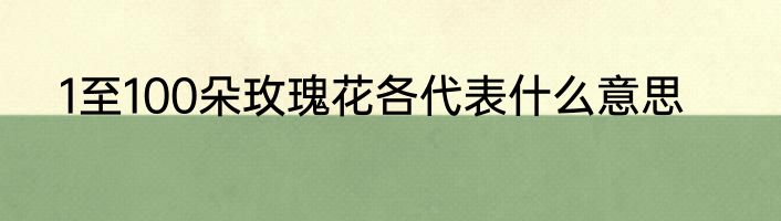 1至100朵玫瑰花各代表什么意思