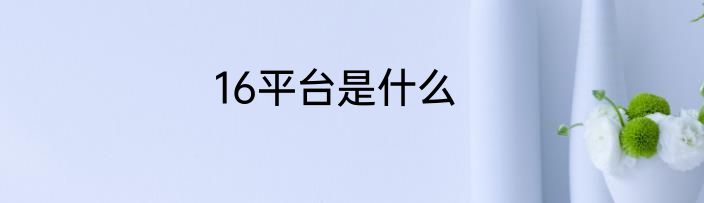 16平台是什么