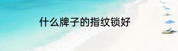 什么牌子的指纹锁好