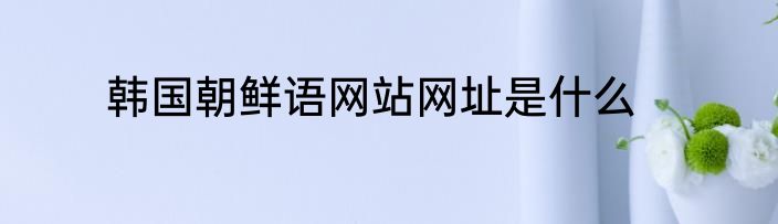 韩国朝鲜语网站网址是什么