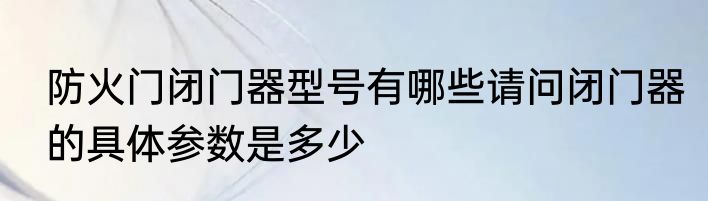防火门闭门器型号有哪些请问闭门器的具体参数是多少