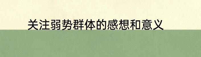 关注弱势群体的感想和意义