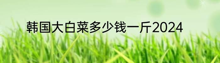 韩国大白菜多少钱一斤2024