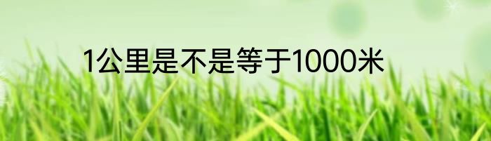 1公里是不是等于1000米