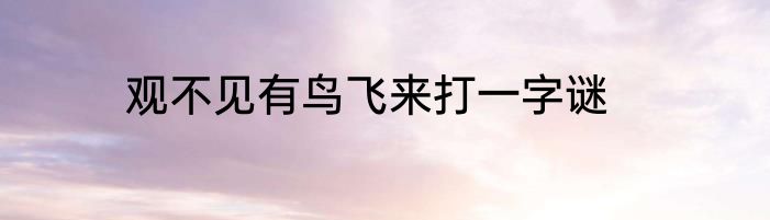 观不见有鸟飞来打一字谜
