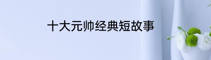 十大元帅经典短故事