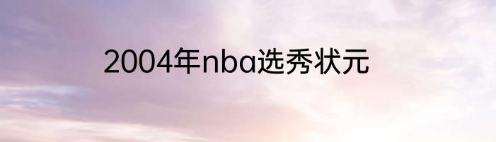 2004年nba选秀状元