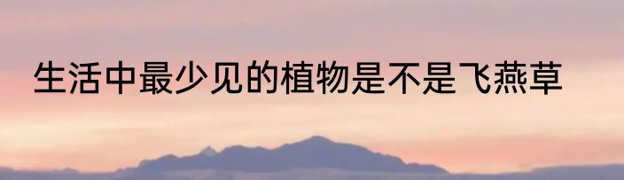 生活中最少见的植物是不是飞燕草
