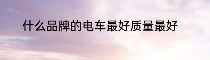 什么品牌的电车最好质量最好