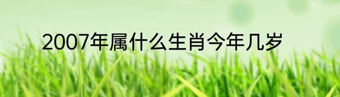 2007年属什么生肖今年几岁